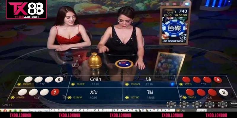 Xóc đĩa tại casino TX88 thu hút nhiều cược thủ